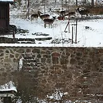 Hajovna *