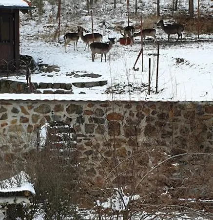 Hajovna *