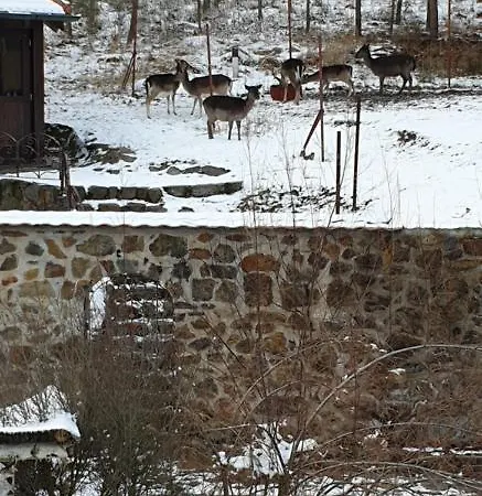 Hajovna *